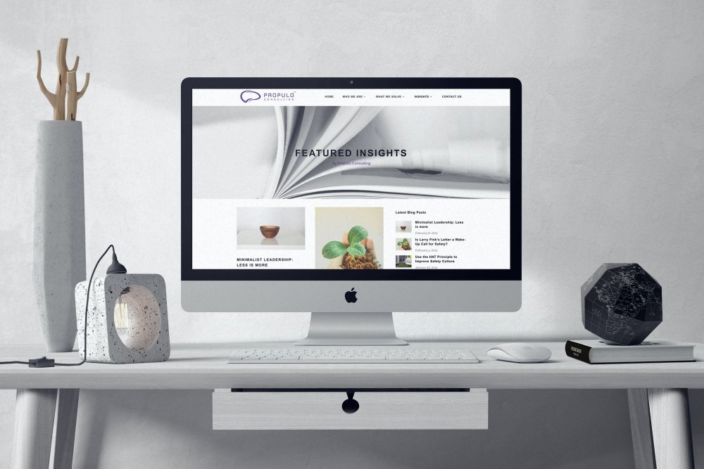 Propulo Consulting website preview