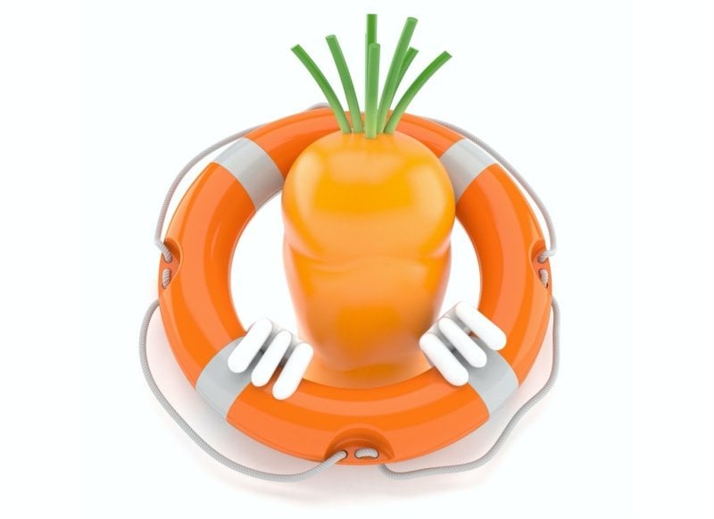 safety incentives carrot inside life buoy