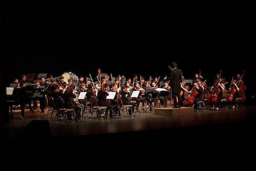 orchestra performance; harmonize your team like an orchestra