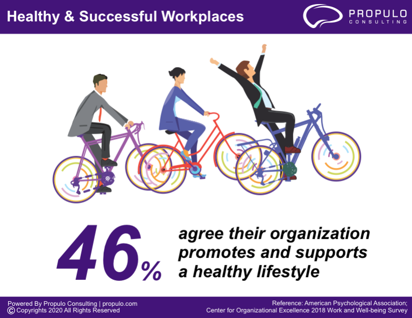 Healthy and Successful workplace Infographics by propulo